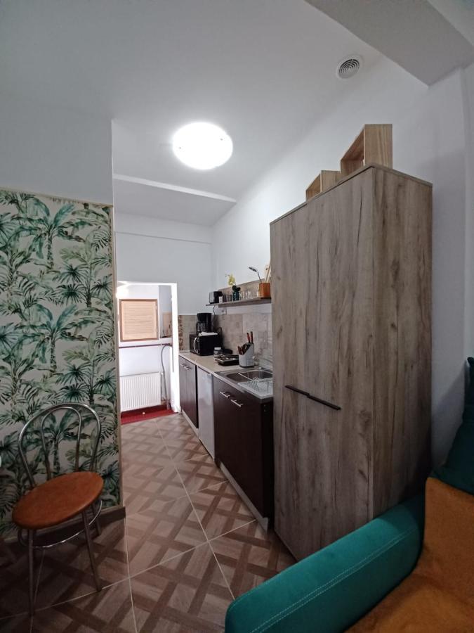 Studio Republicii Apartment Brasov Exterior photo